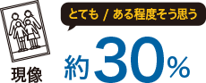 現像30%